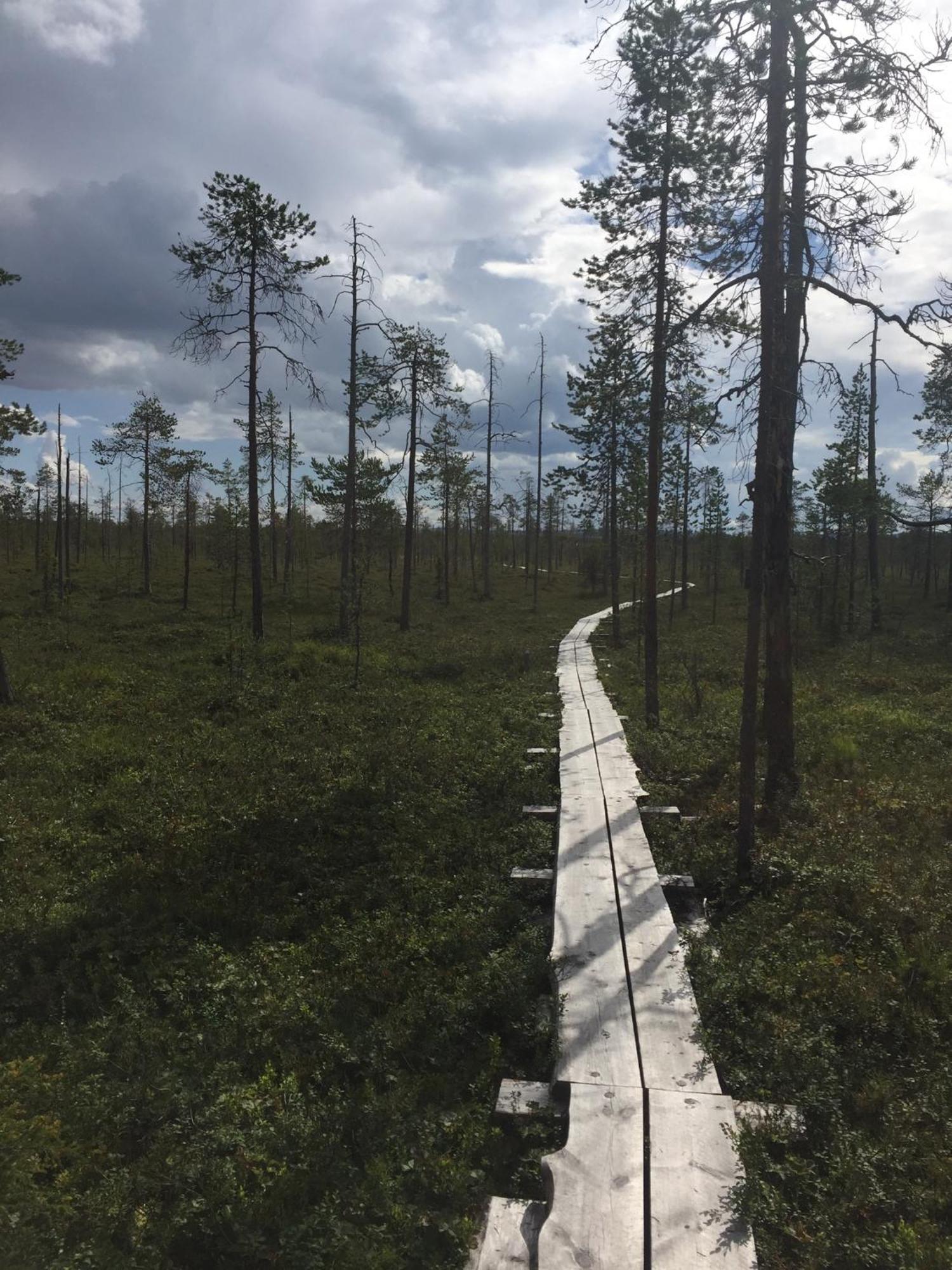 Ankkalinna Pyhätunturi Exterior foto